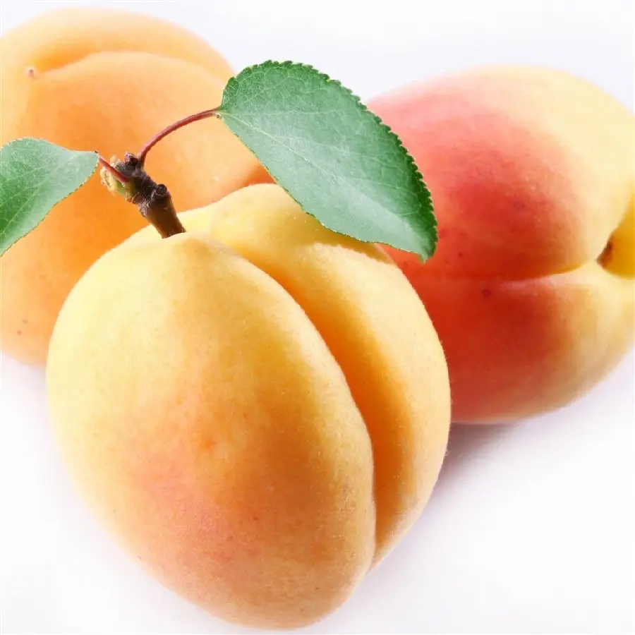 Amazing background of apricot with green leaves on it