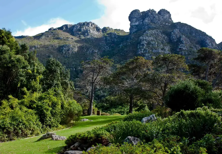 Special stock of pristine and clean space for nature lovers