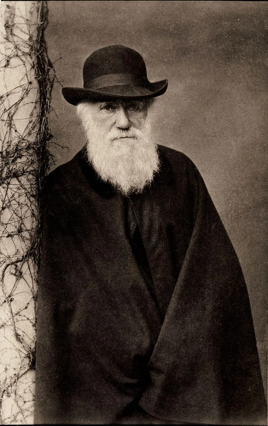Free stock photo of Charles Robert Darwin