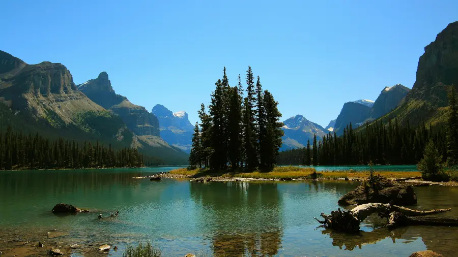 The most striking nature image for printing decorative paintings 