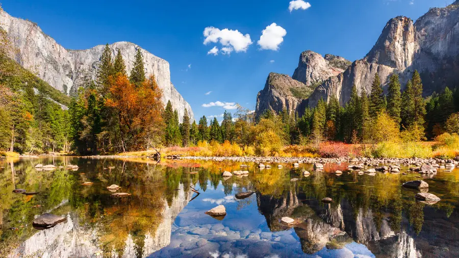 Unique and spectacular wallpaper of water and beautiful green trees