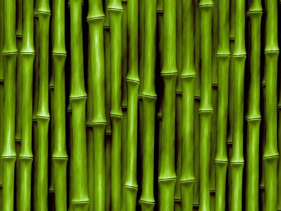 A clear and close-up image of giant bamboo trees in China