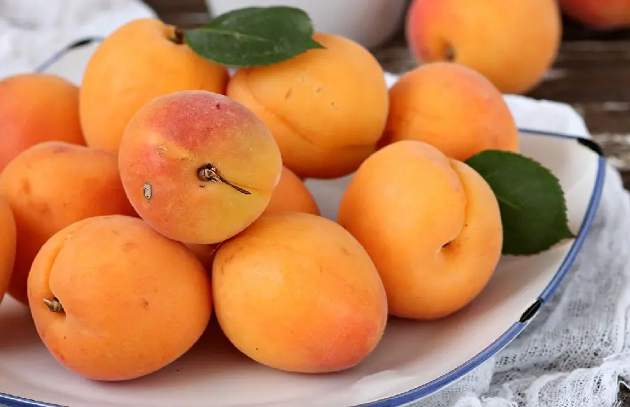 Beautiful and delicious wallpaper of beautiful apricots in a white dish 