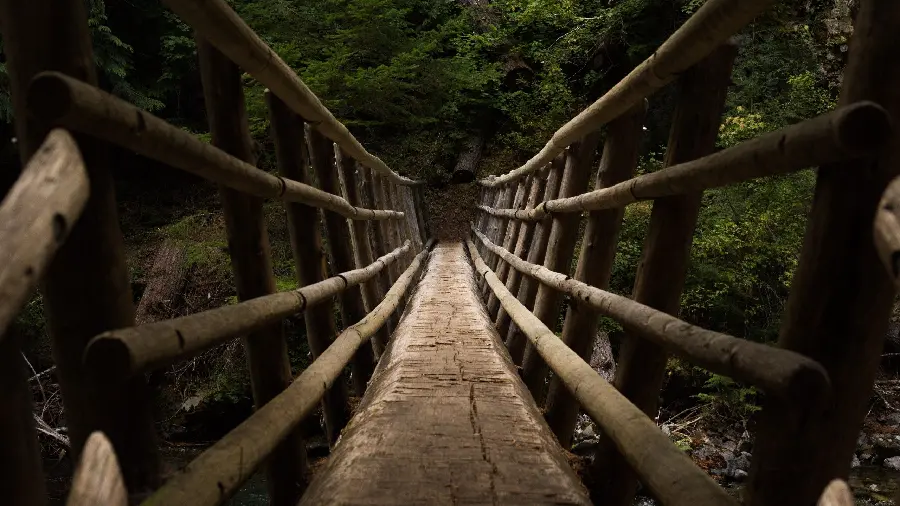 Download a wonderful wooden bridge-shaped tree trunk wallpaper