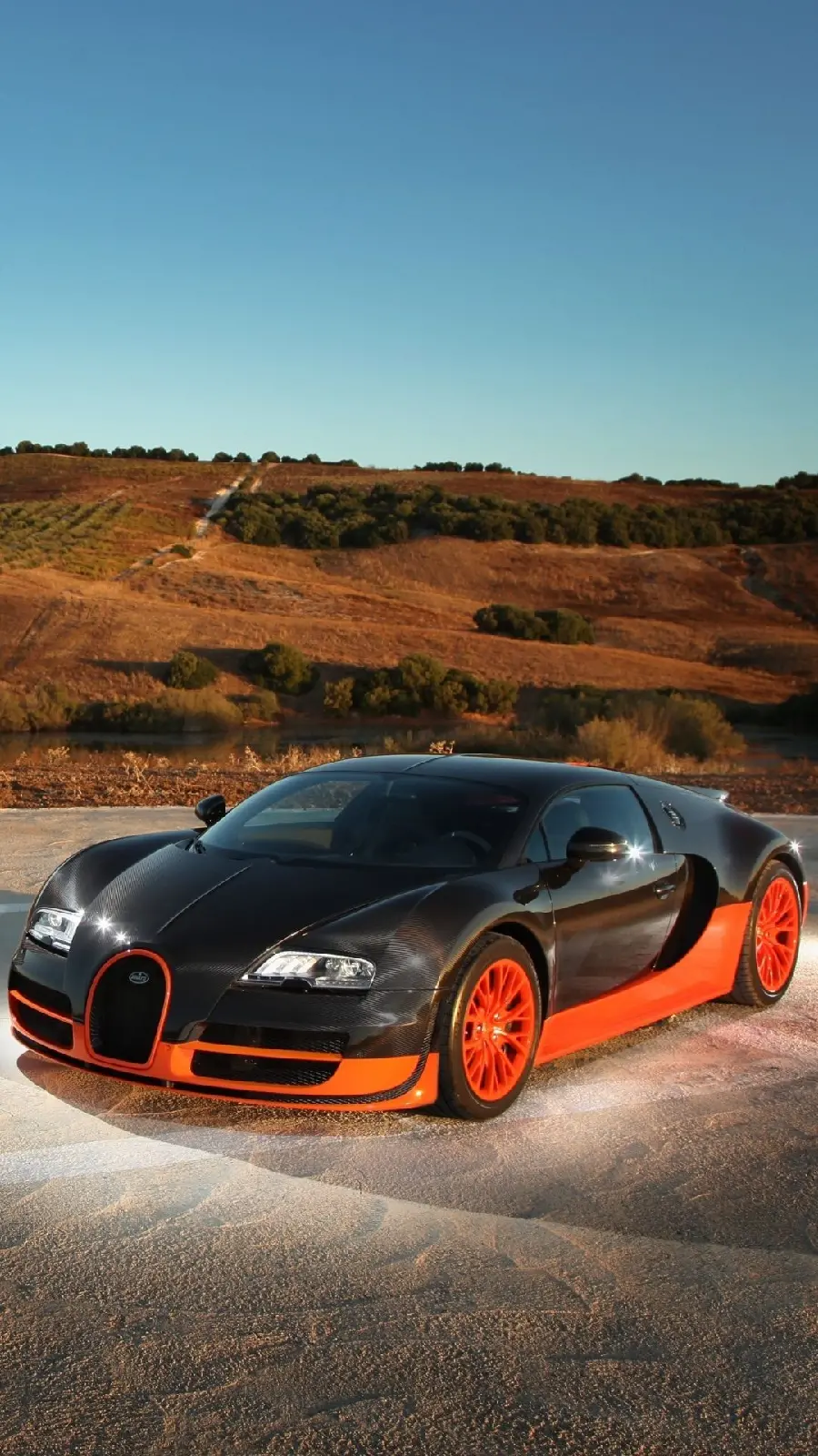 Wallpaper of an orange and black Bugatti car in nature with spectacular quality