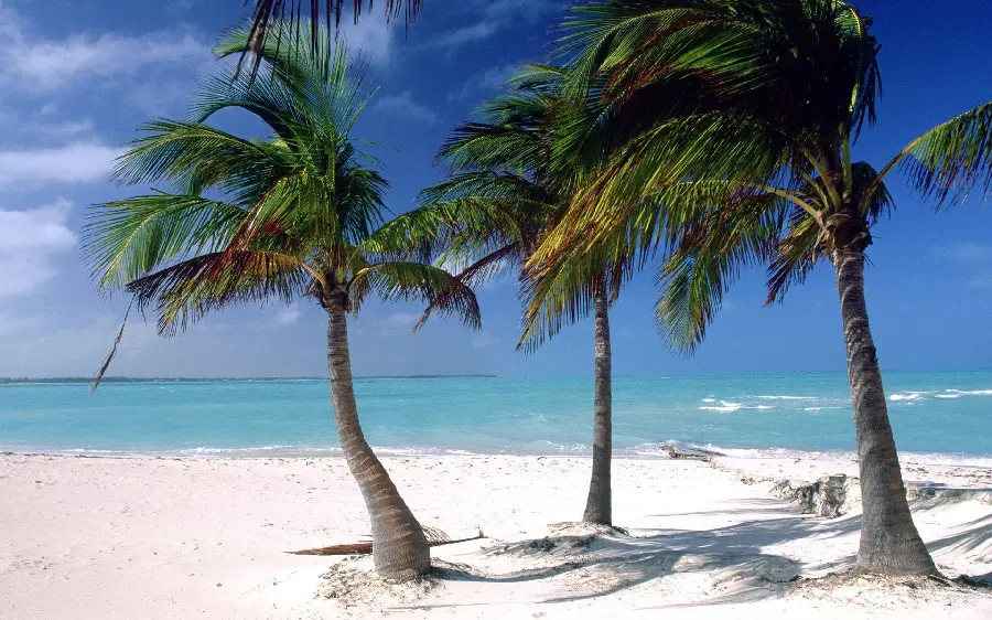 The most visible scene of the wind blowing in the Seychelles Islands of the Indian Ocean