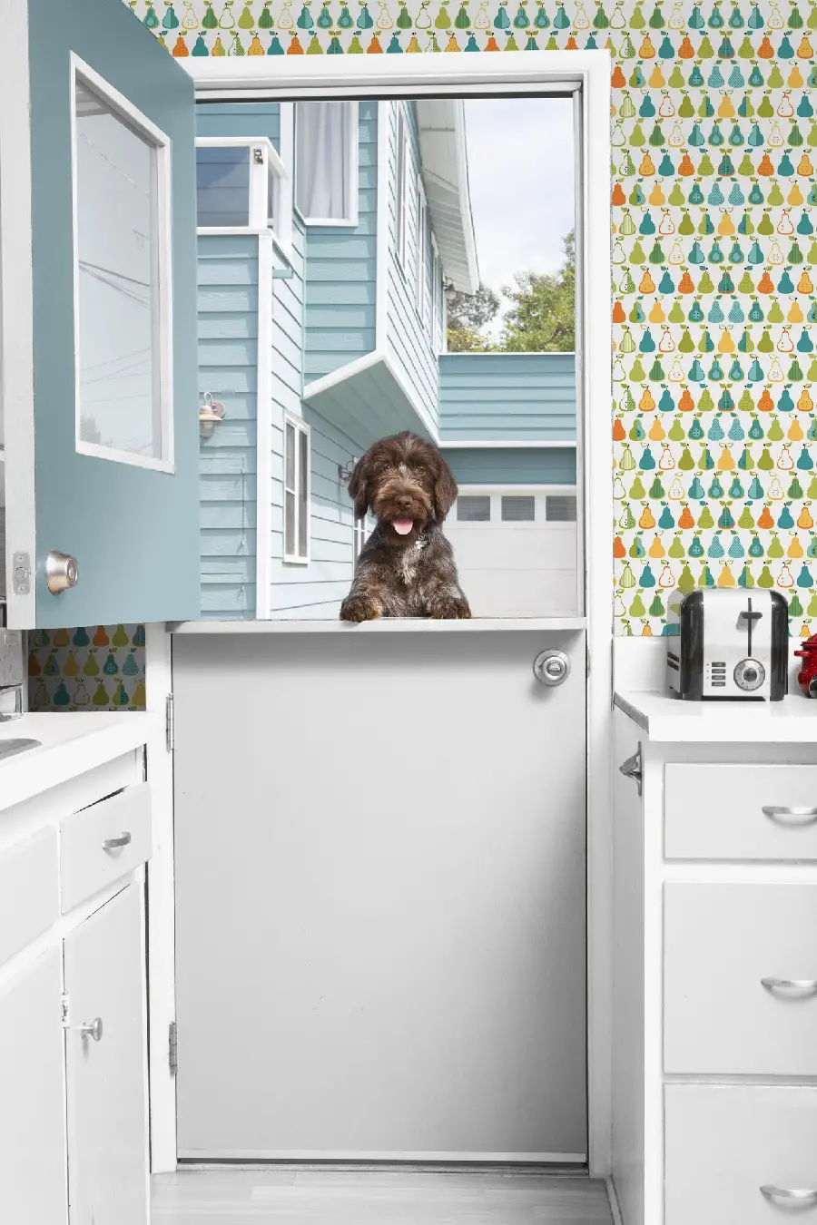  Beautiful wallpaper of a modern kitchen with a beautiful dog by its window