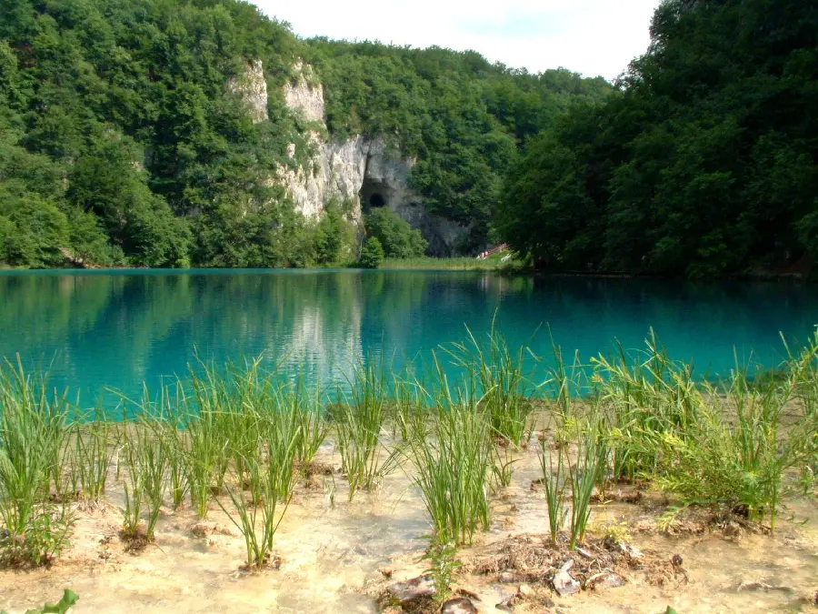 Download one of the most amazing photos of a clear and transparent lake 