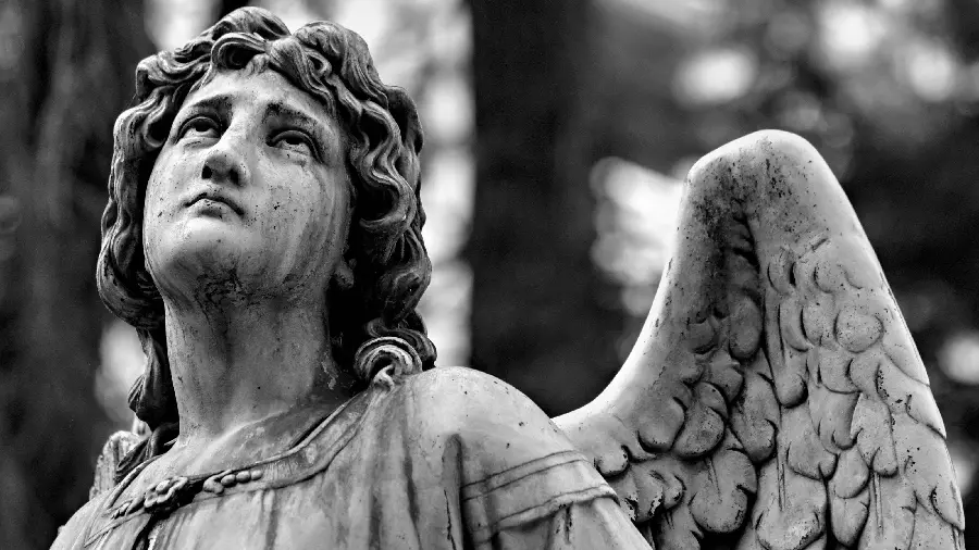 Black and white image of a kind angel statue with a blurred background for your profile