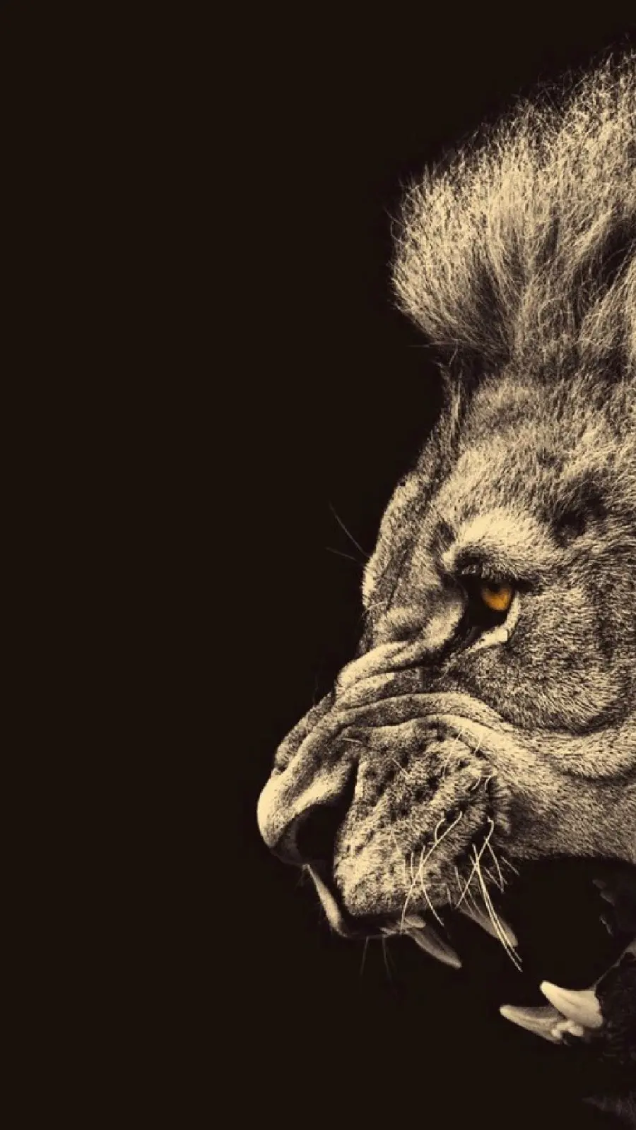 Angry lion roaring wallpaper with a color filter for your phone