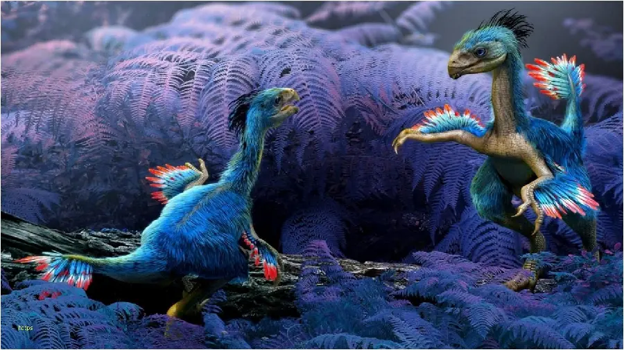 Image of surviving birds from the dinosaur lineage with beautiful blue feathers