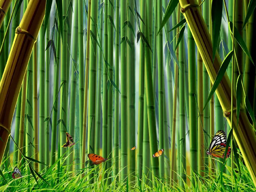 Download free horizontal and HD photo of bamboo trees and butterflies