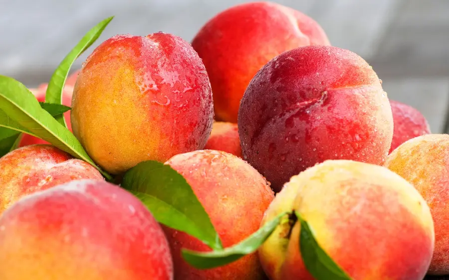 Interesting stock photo of dewy peach fruit with dream quality full hd