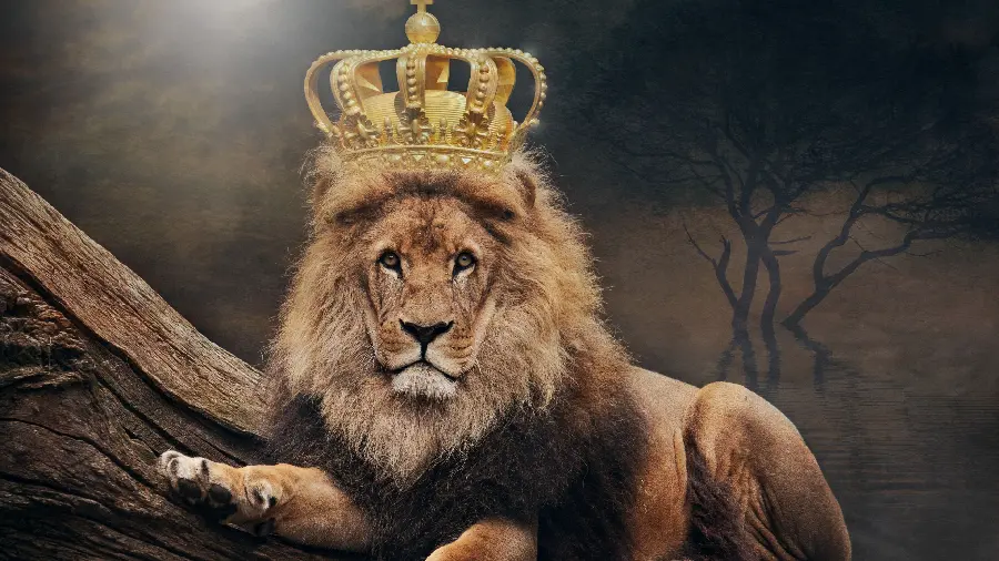 Download the profile picture of the lion of the jungle with the crown of the kingdom