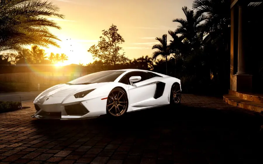 White Lamborghini background with a sporty view at sunset