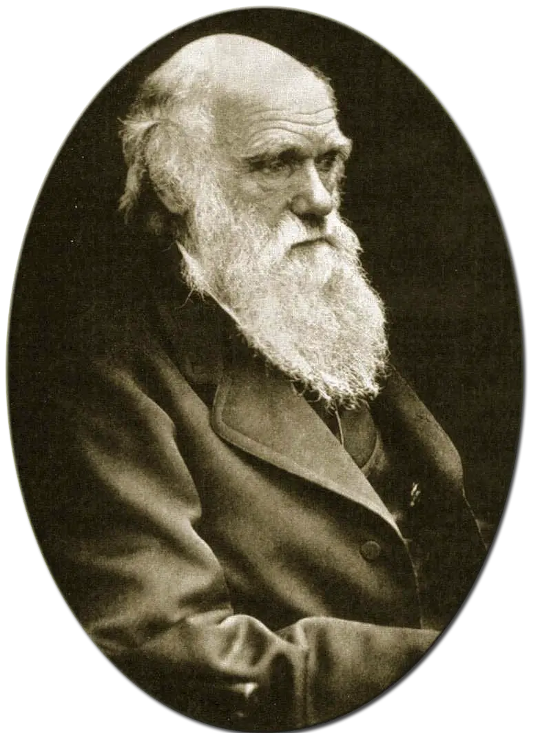 Download PNG photo of Charles Darwin, the famous English theorist 