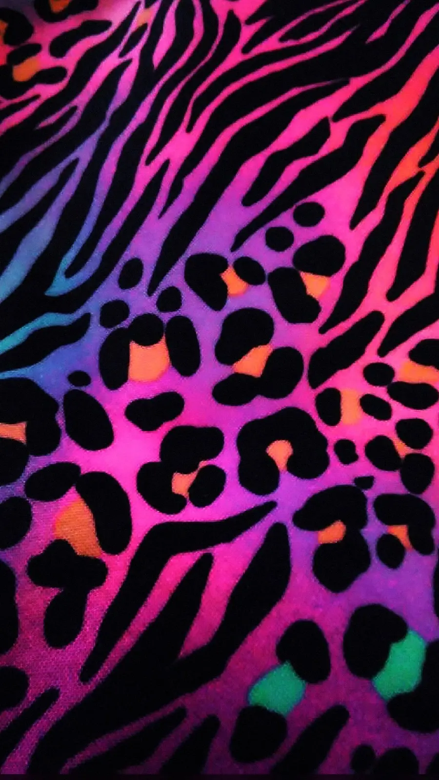 Very beautiful photo of the leopard cheetah with full HD quality 