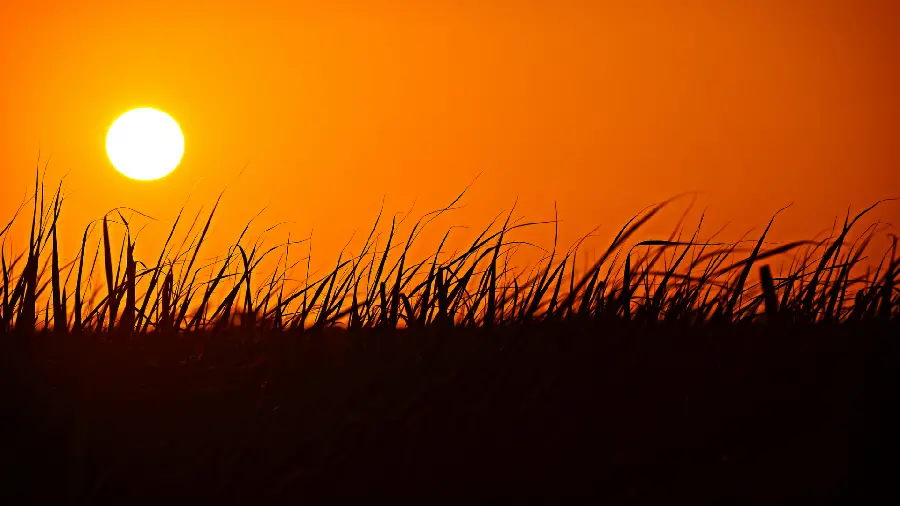 Unique and special wallpaper of sunset with high quality 