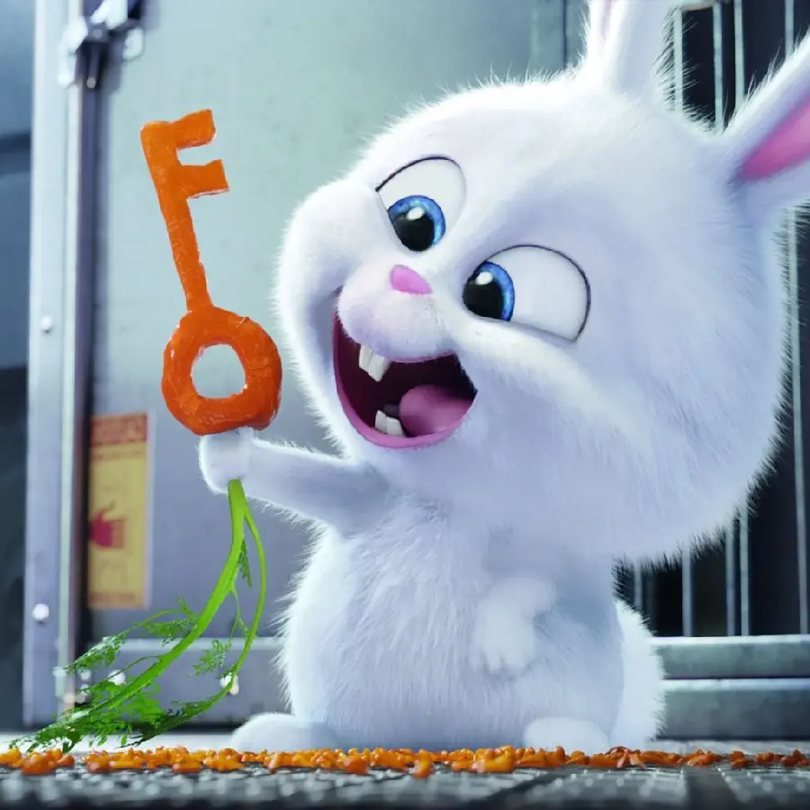 Cute profile picture of a cartoon bunny with a carrot key in his hand