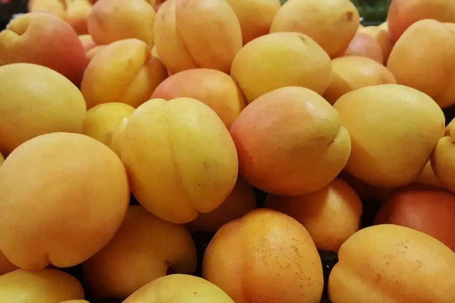 Unique wallpaper of delicious and beautiful apricots with high quality