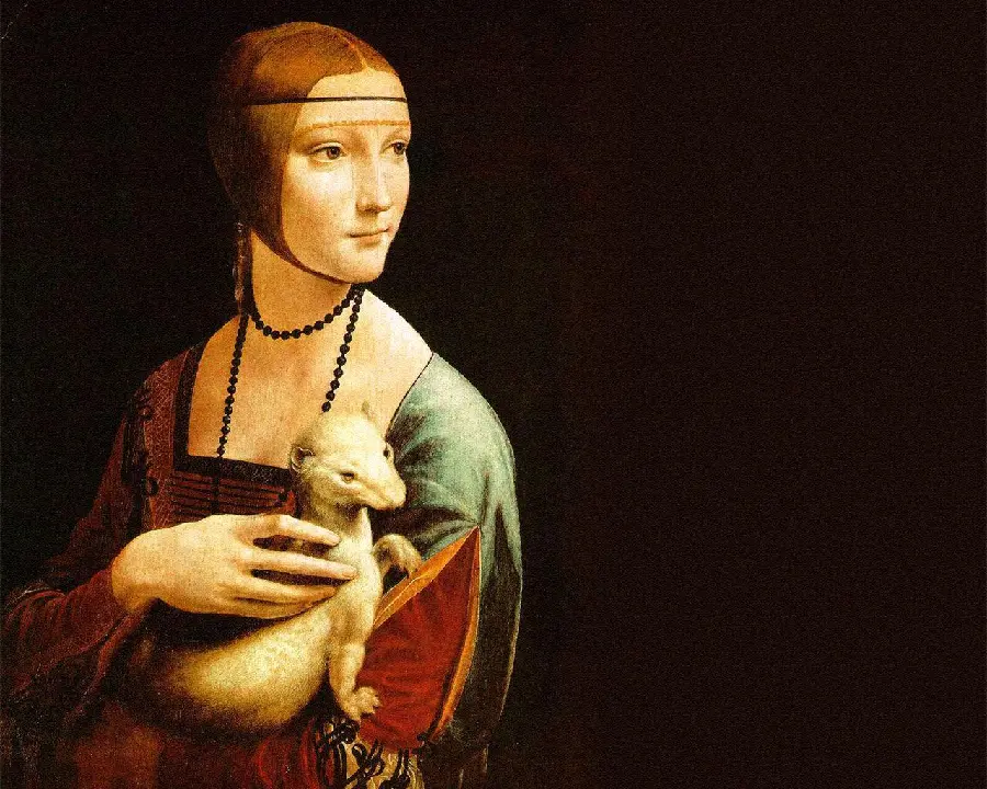 Photo of a painting of a lady with a hump by the famous Italian painter Leonardo da Vinci