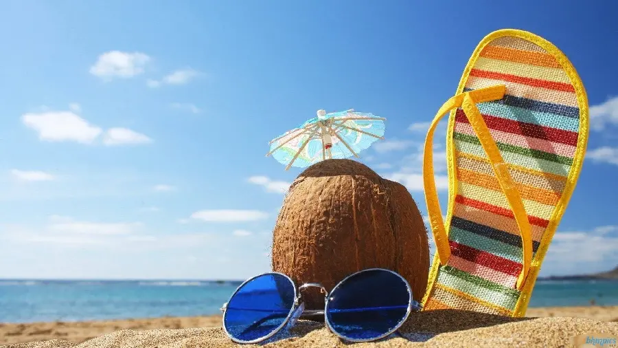 Profile picture of a sandy beach and coconuts and sunglasses and flip-flops