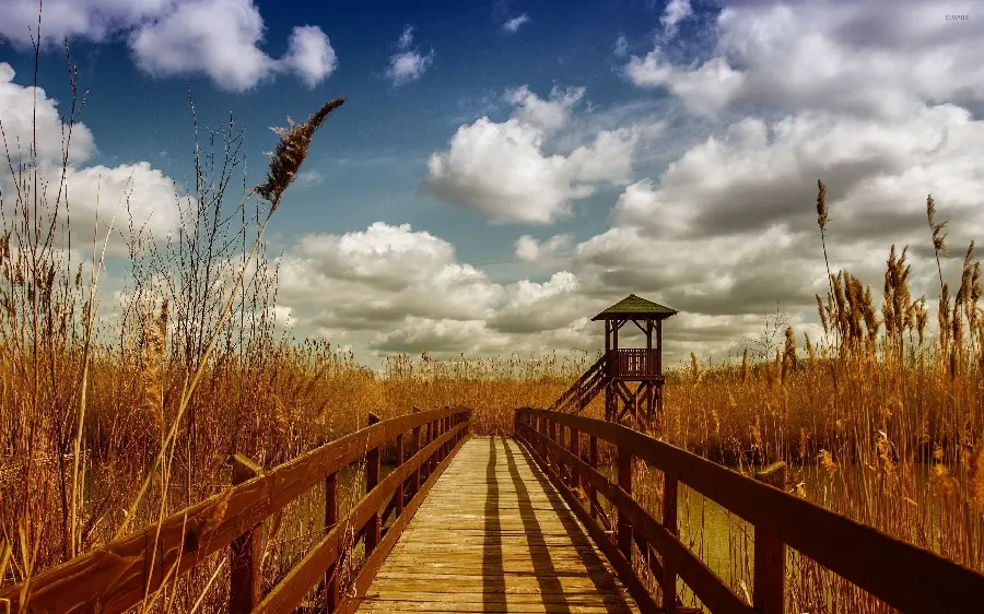 Beautiful background Desert woman and old wooden bridge