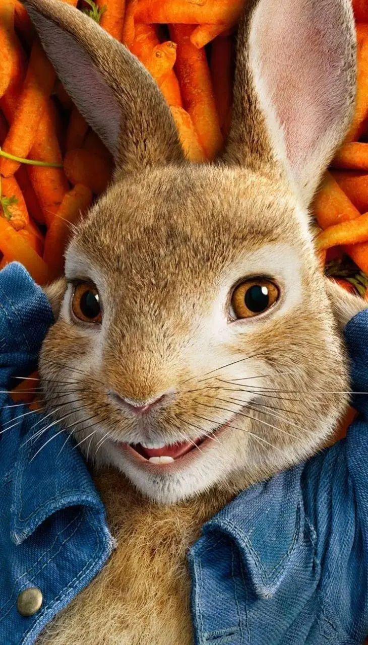 Download carrot wallpaper of a rabbit with a blue denim jacket 
