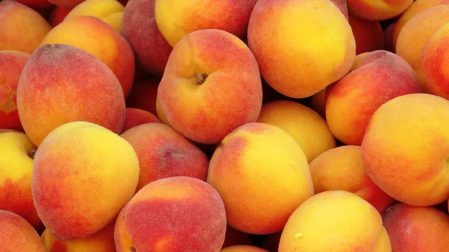 Soft and gooey peach fruit image for canvas painting idea 1402