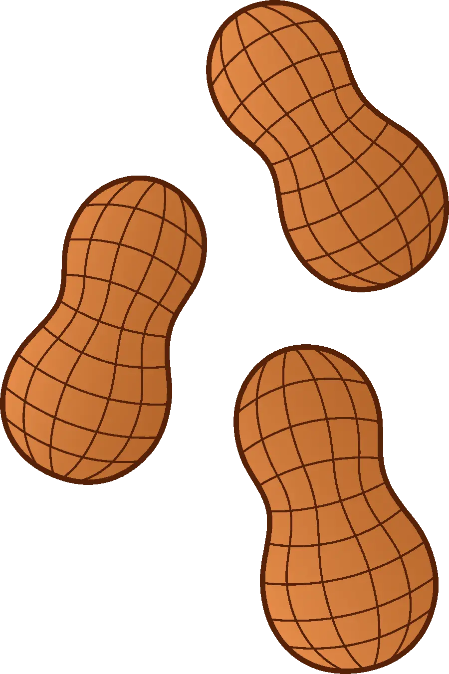 Practical png file of high-quality shelled peanuts