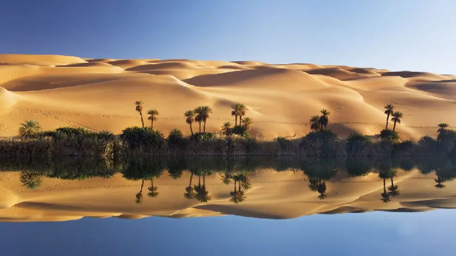 Beautiful wallpaper of palm trees and a pond of water in the desert suitable for laptops and computers 