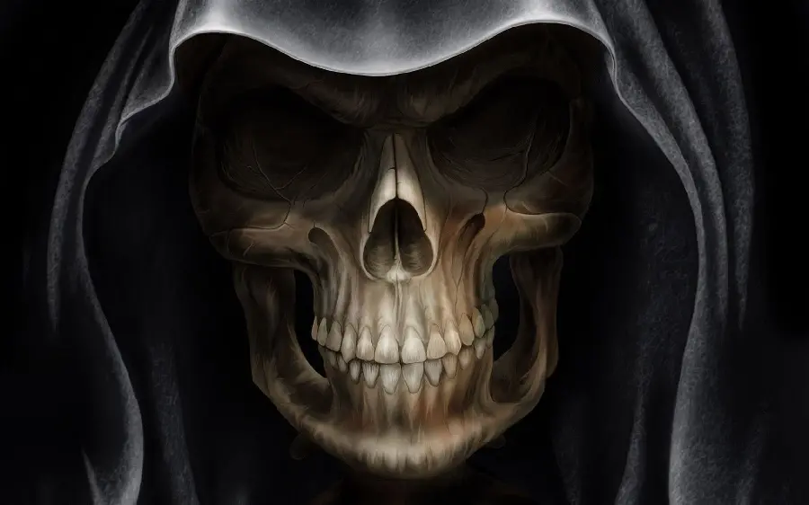 Smiling and scary pirate skull picture with a hat for Instagram