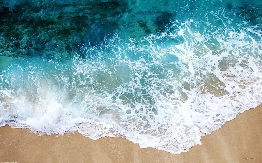 Ultra-luxurious and stylish background of seashell waves and sandy beach