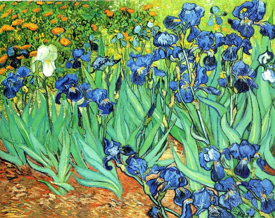 Stock photo of Vincent Van Gogh's lily flowers with the highest quality, special Print 