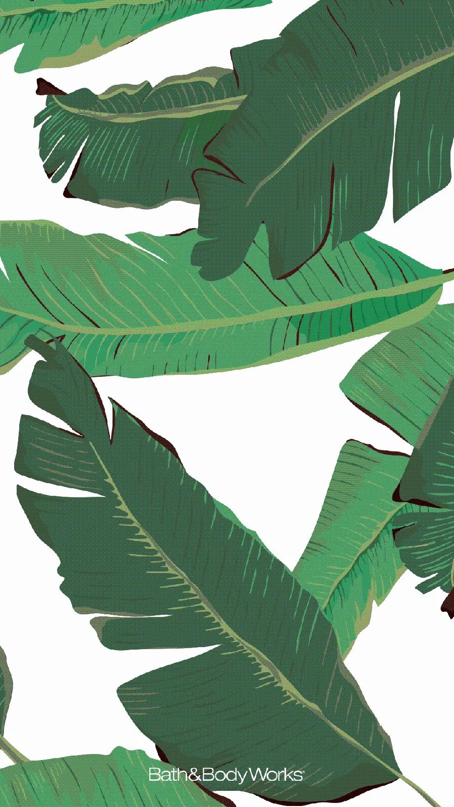 A picture Awesome Profile Picture of Painted Banana Leaves