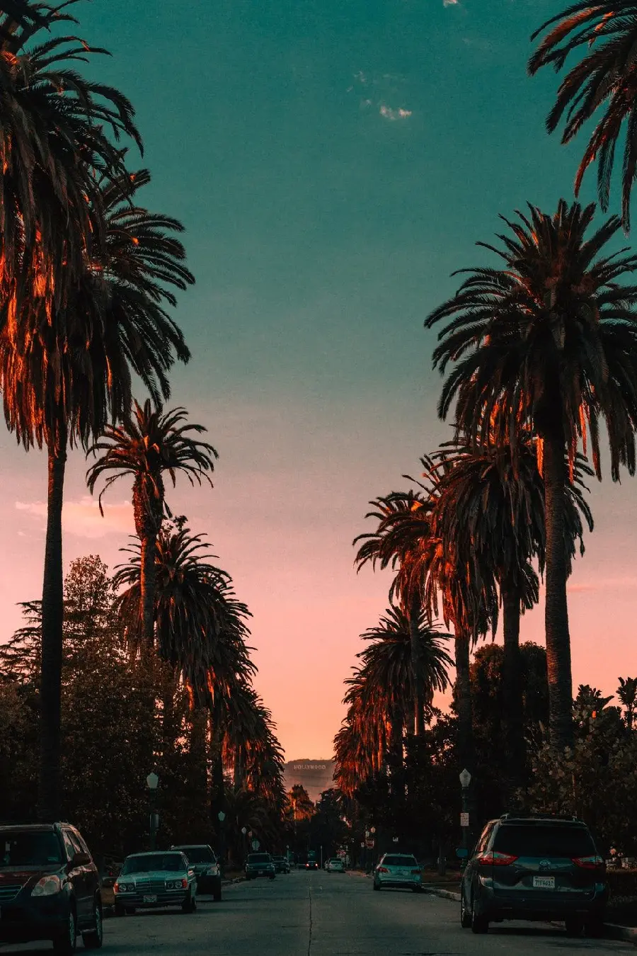A corner of the streets of Los Angeles, USA and palm trees