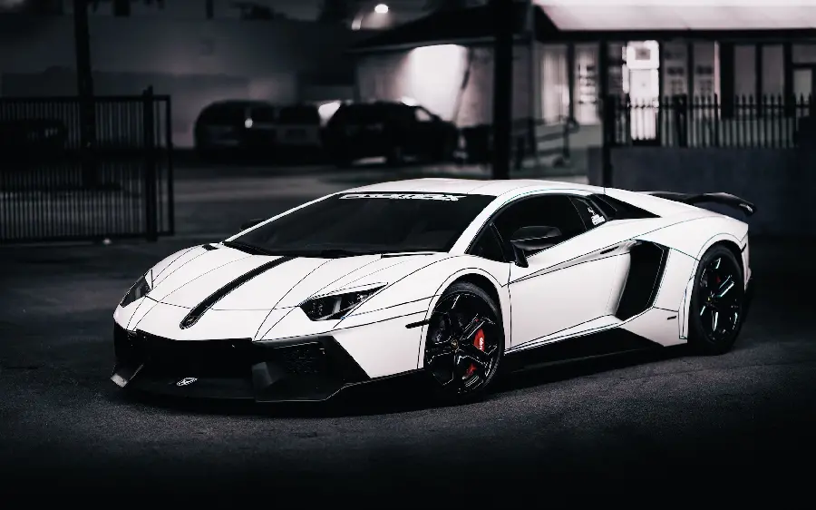 White Lamborghini black and white wallpaper for phone with quality 