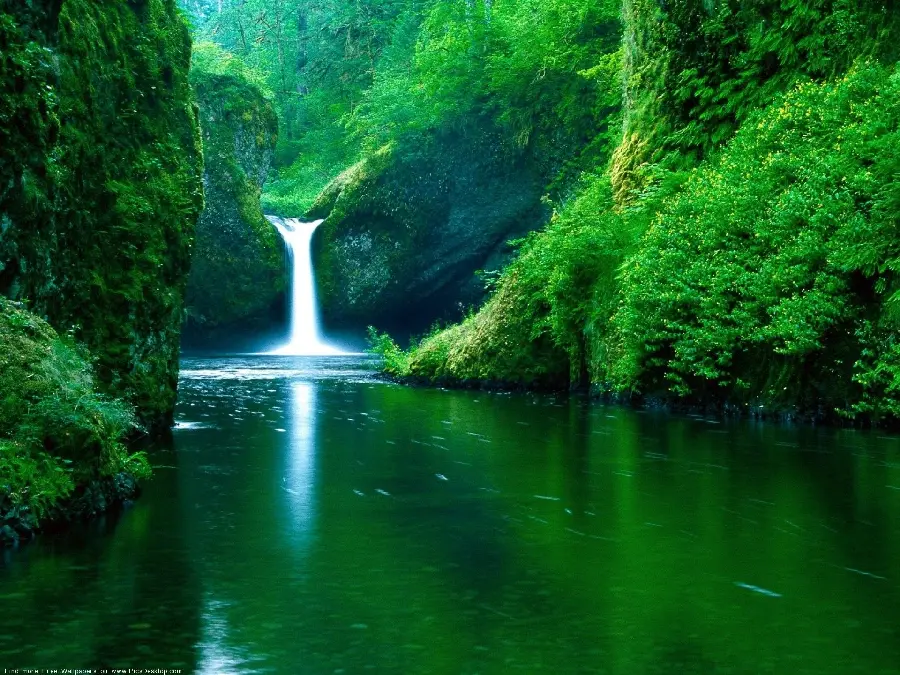 A dreamy and spectacular profile photo of a high waterfall in the heart of a green forest