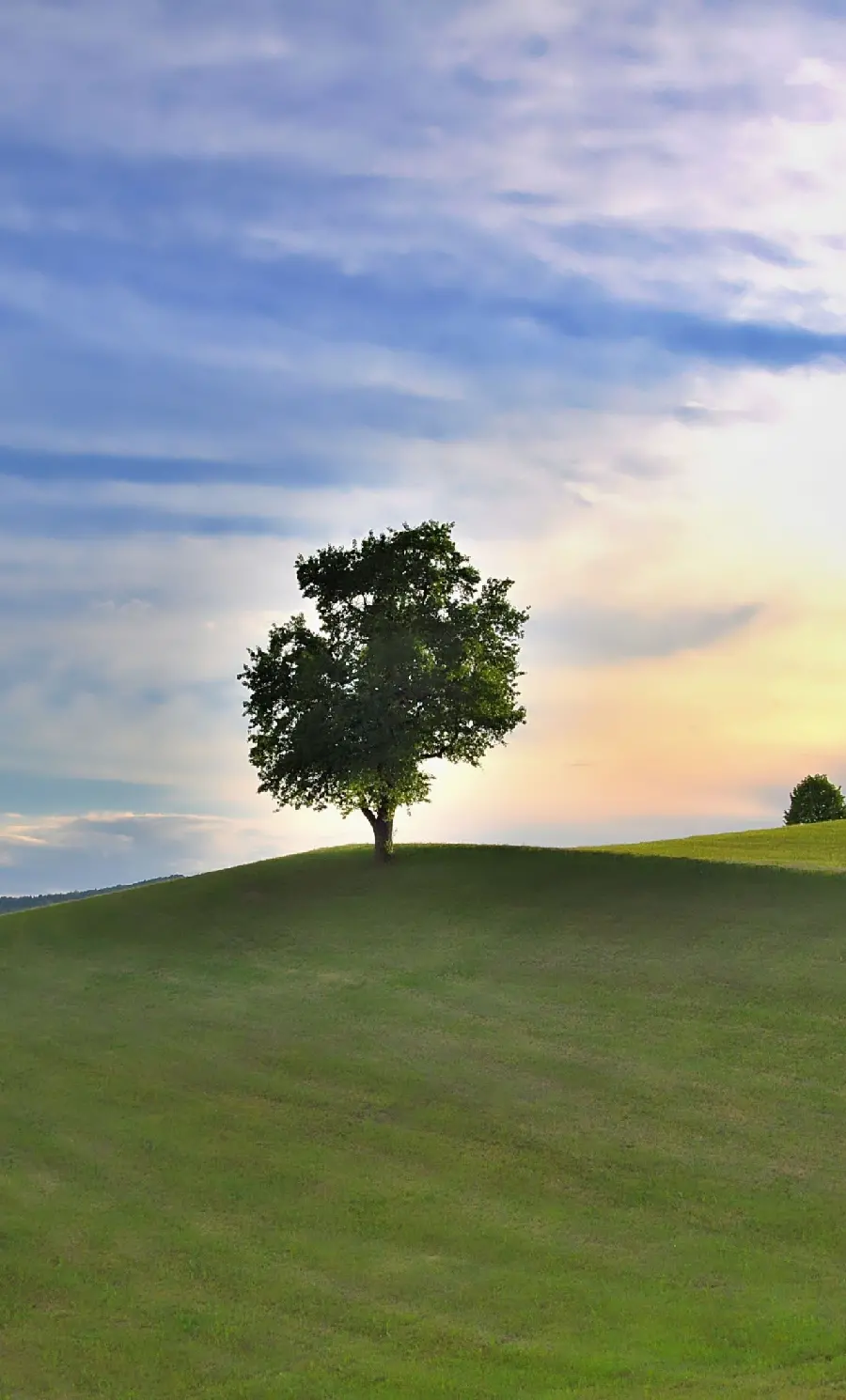  Extremely beautiful background of a lonely tree with a cloudy and spectacular sky 