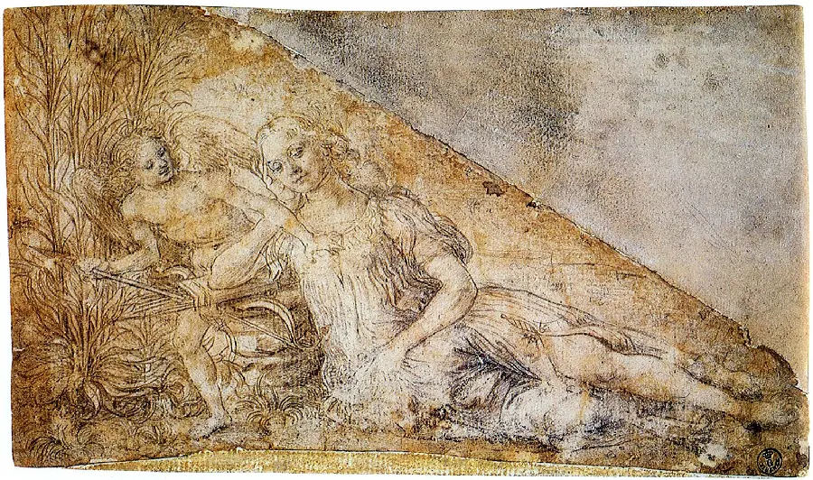 Download Image of Line Drawing by Leonardo Da Vinci