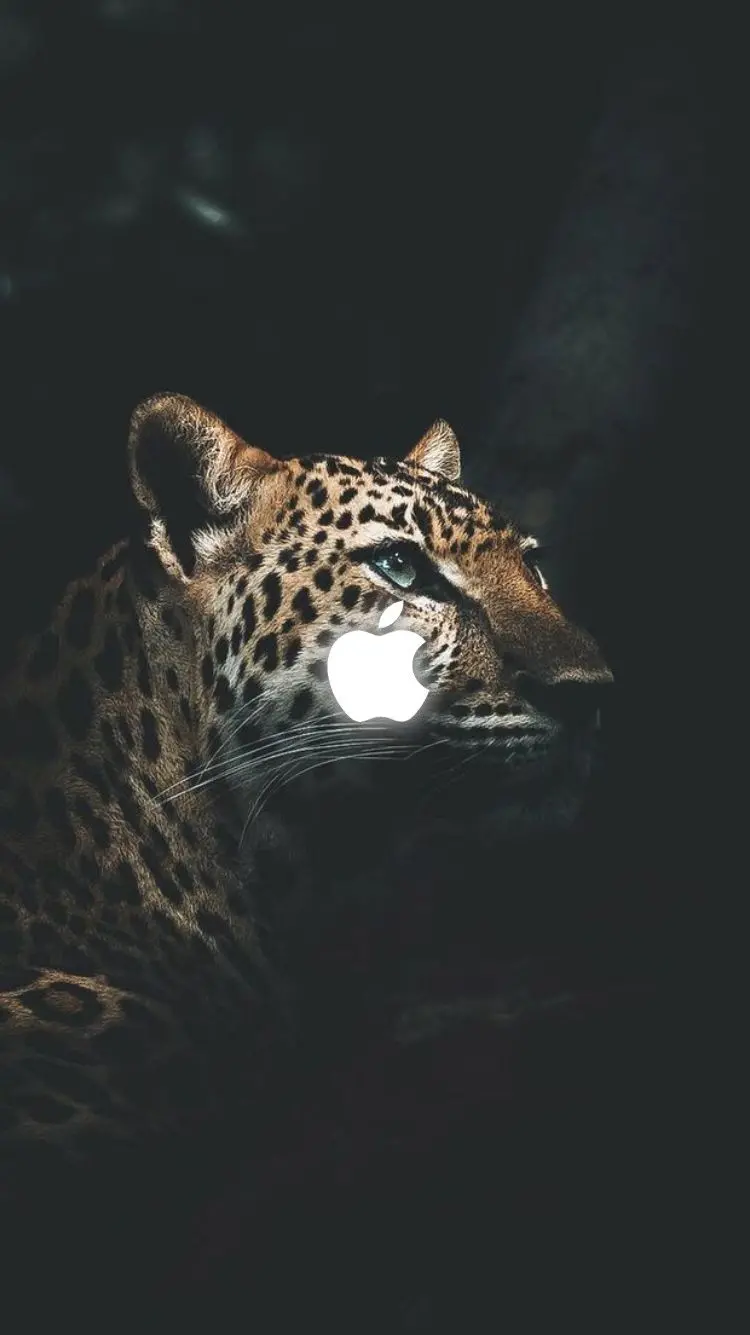 Iranian jaguar wallpaper to show strength and authority