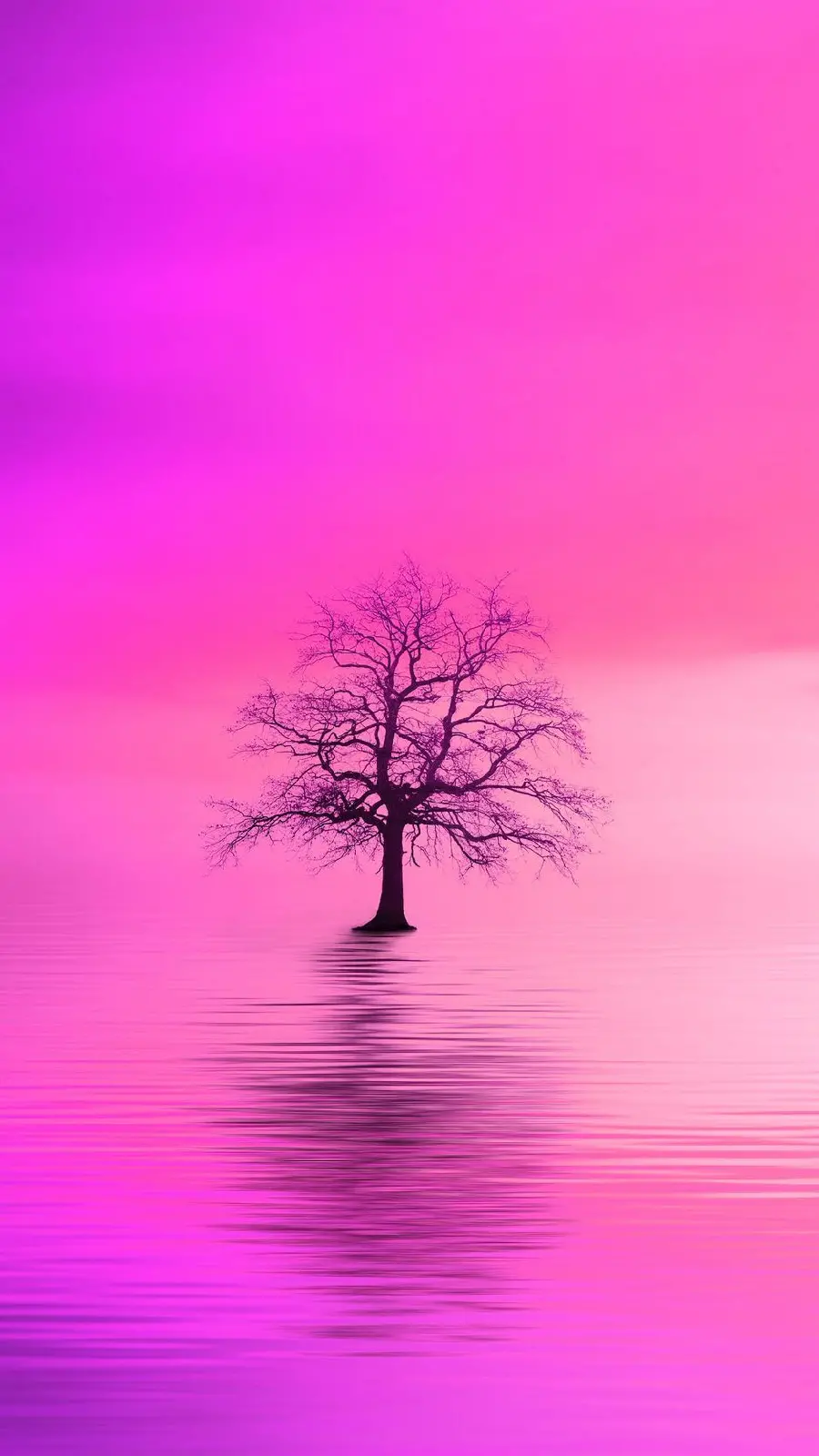 A fascinating and spectacular photo of a single tree with a pinkish purple background 