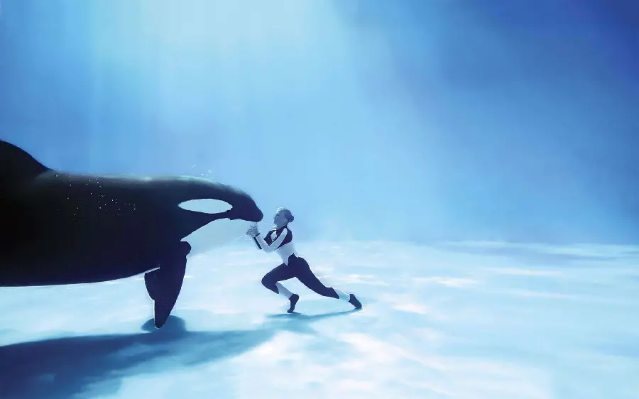 Unique and interesting photo of a girl next to a whale