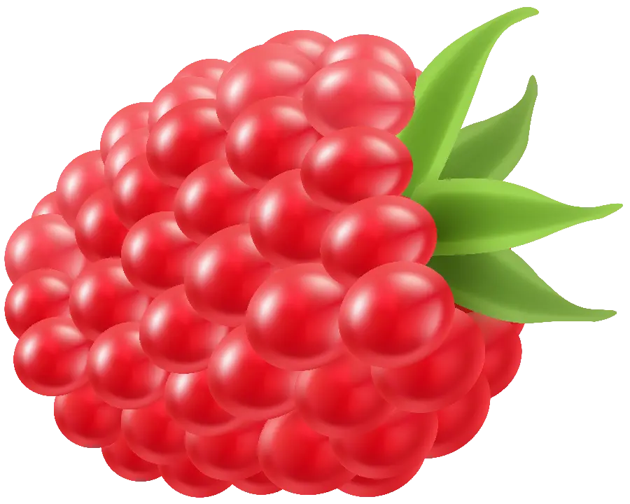 Cartoon and graphic photo of red raspberries in PNG format 