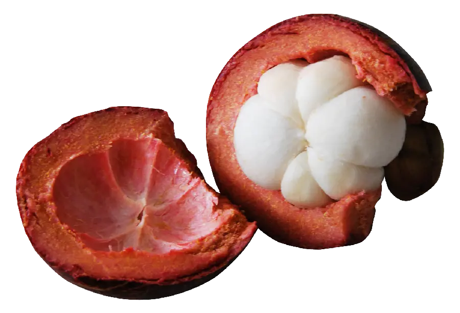 Amazing Sliced ​​Tangelo Fruit PNG Image