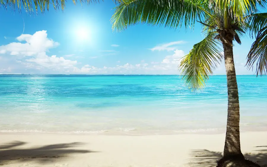 Picture of the white and calm and beautiful beaches of the Maldives in the Indian Ocean