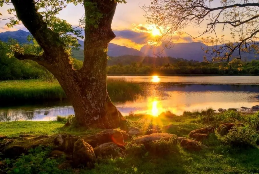 Free download of Zen nature images for those interested in this school