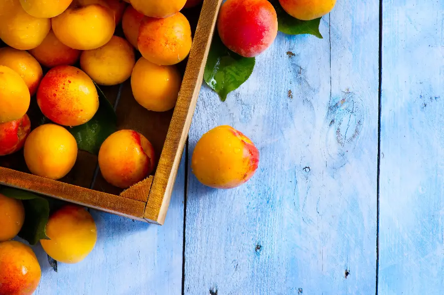 Amazing wallpaper of delicious apricots in high quality