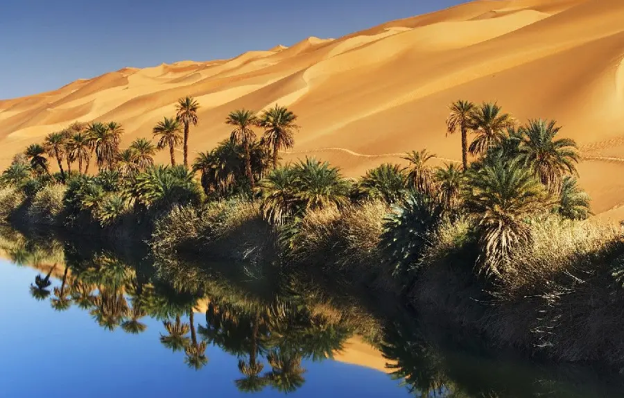 Full HD image of a clear lake in the desert next to lush palm trees giving life