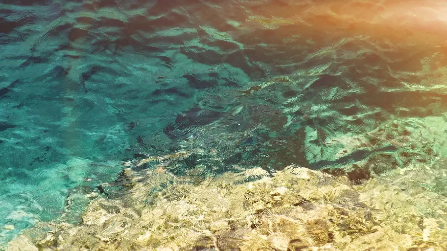 Background of small and abundant waves in the deep blue ocean 